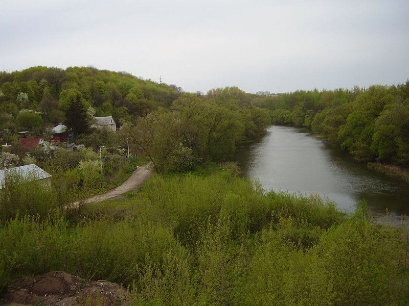 Река Тускарь Курской области