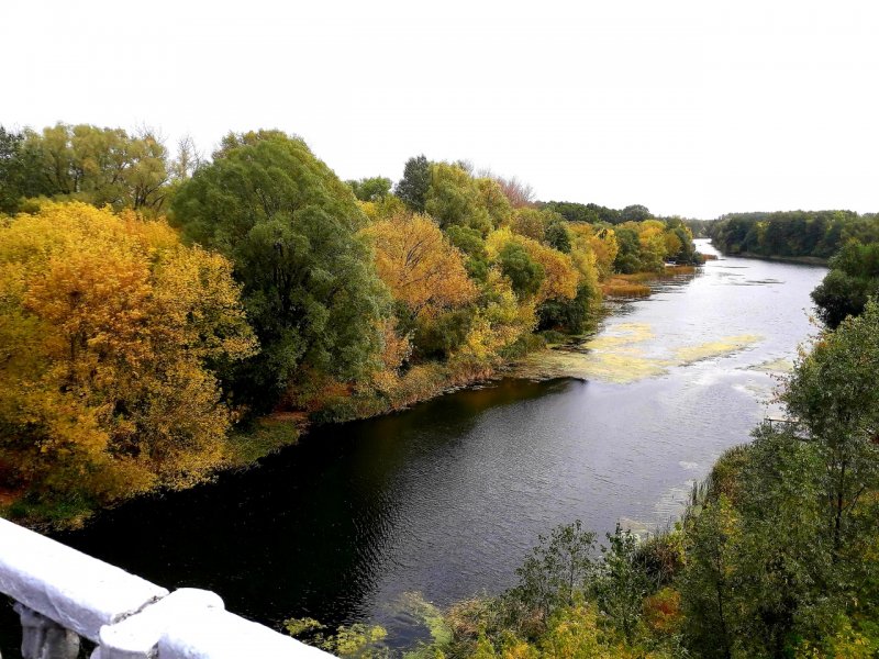 Река Тускарь в районе Кировского