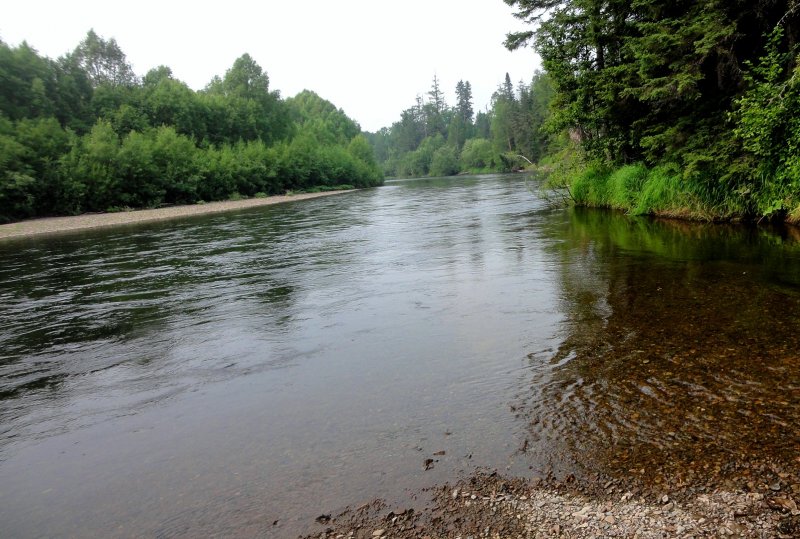Река кур Курской области