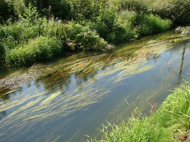 Плотина на реке Тускарь