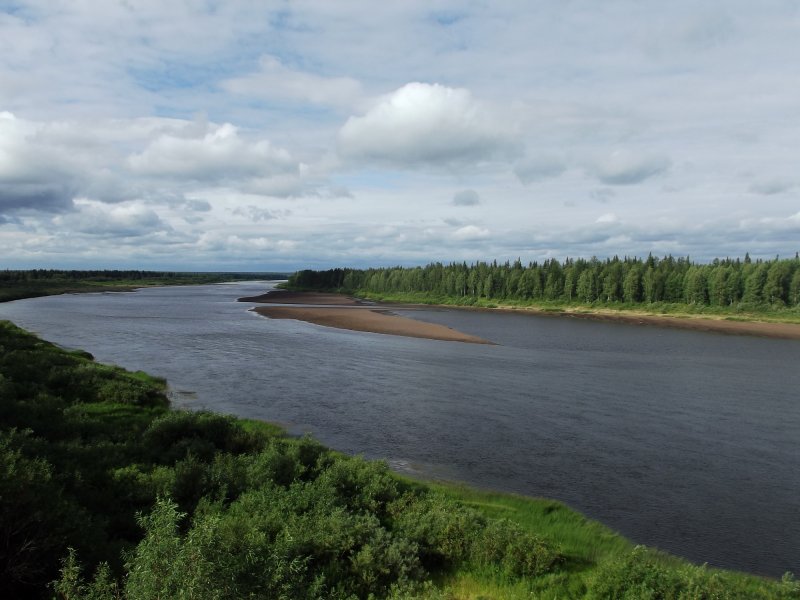 Река Кожва Республика Коми