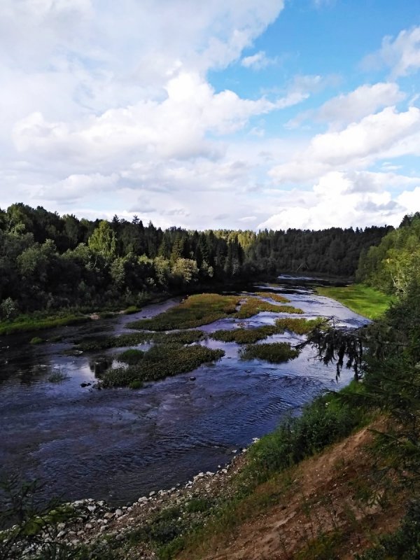 Река Уфтюга Вологодская обл