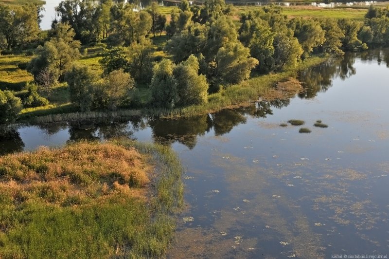 Река Черемшан старое Максимкино