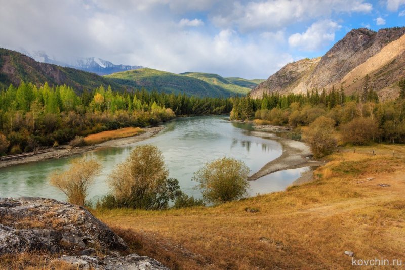 Река Чуя Алтай рыбалка 2020