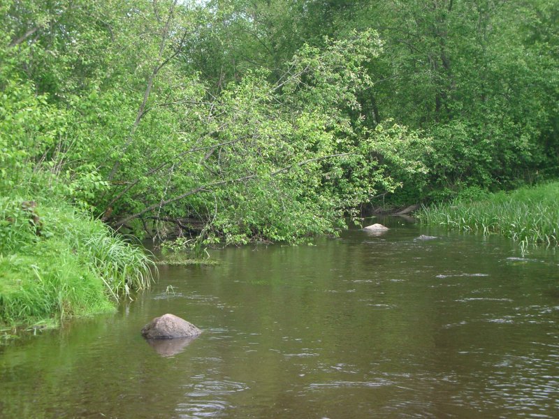 Река идол Костромская область
