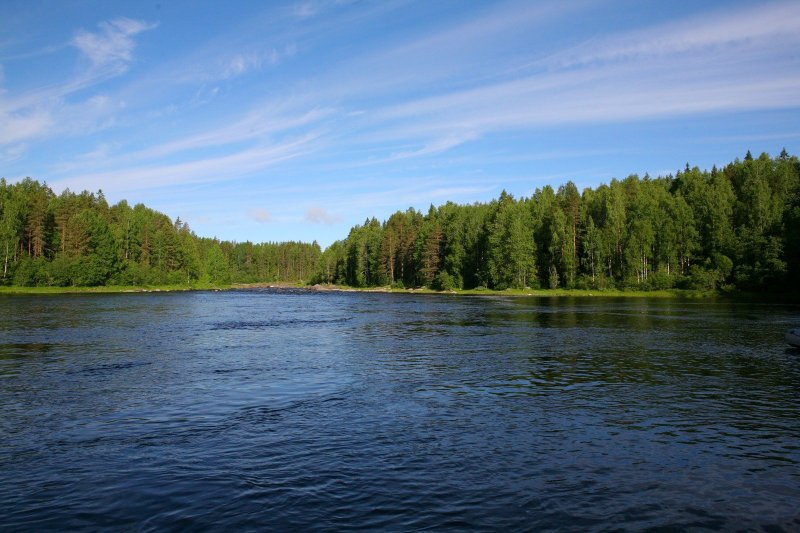 Река Шуя Карелия