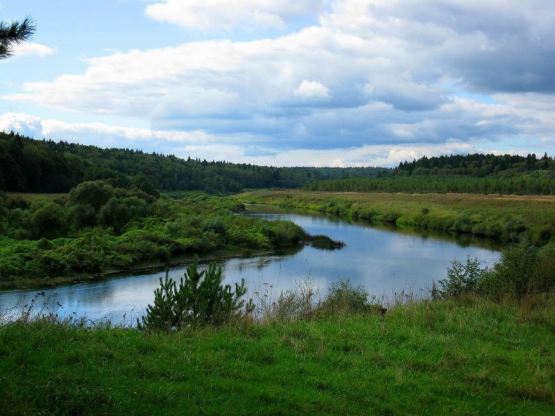 Река Ока в Калужской области