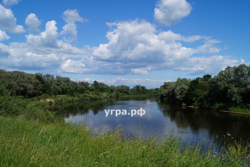 Парк Угра Калужская область