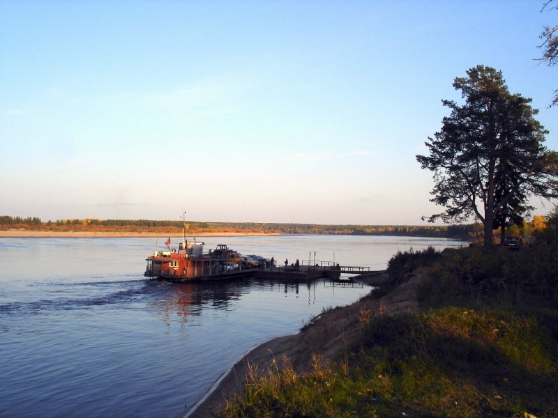 Растительный мир реки Вычегда Коми
