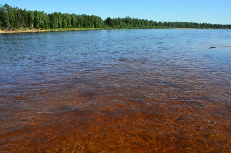 Река Мезень Архангельская область