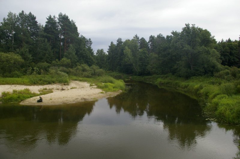 Река Жиздра Калуга
