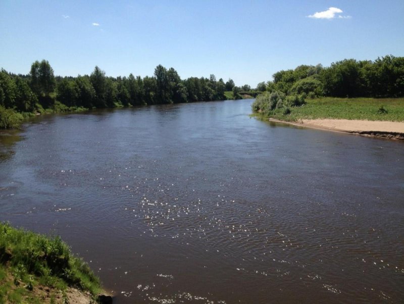 Река Жиздра Калужская область
