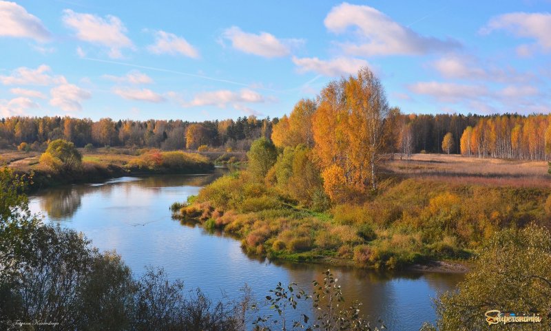 Река Которосль Ярославская область