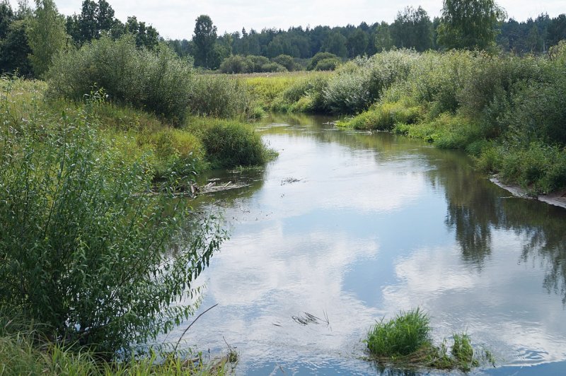 Река Жиздра в Думиничском районе
