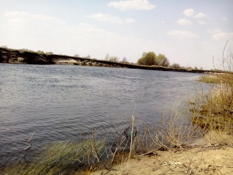 Река Ипуть отравлена