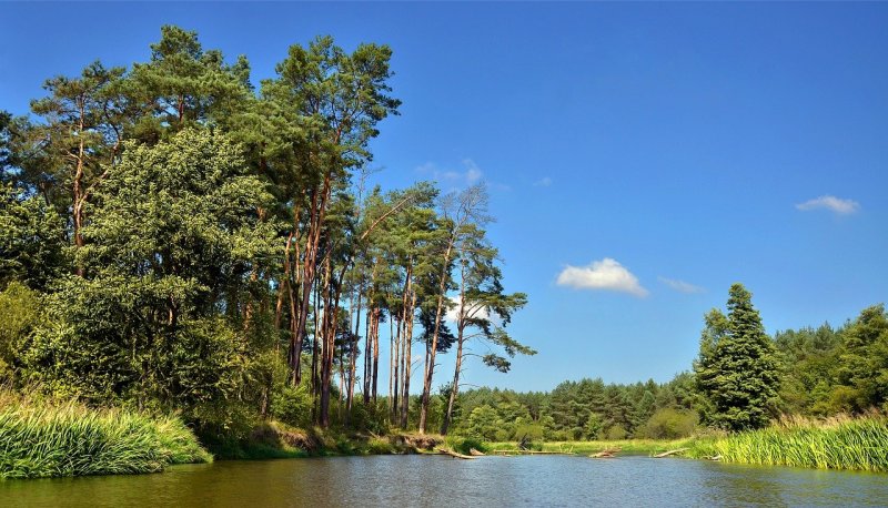 Река Неман Калининградская область