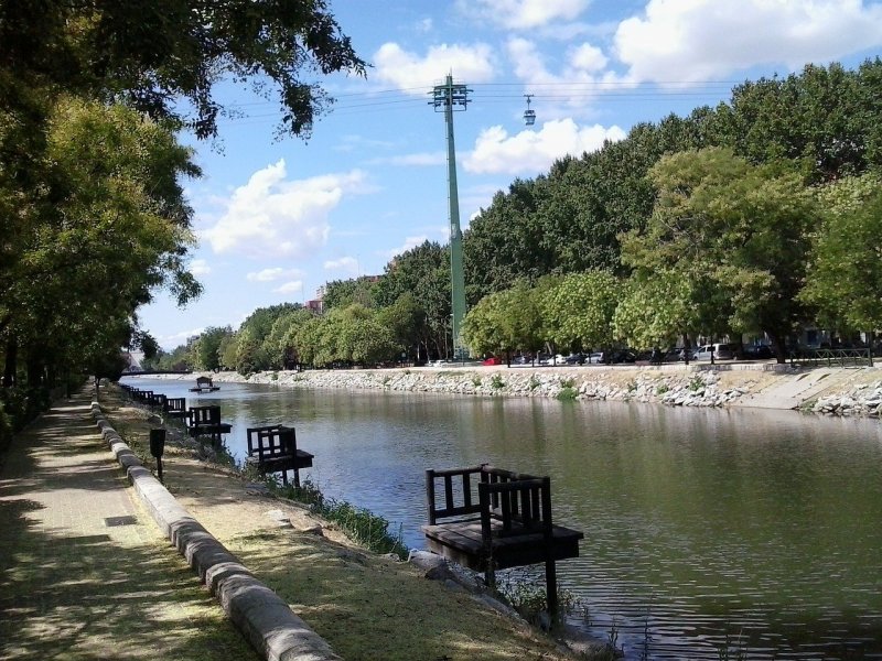 Берег городской реки парк