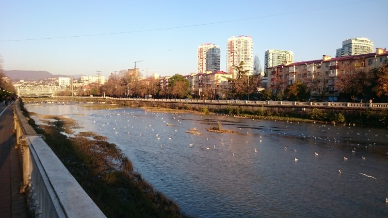 Река в Сочи в центре города