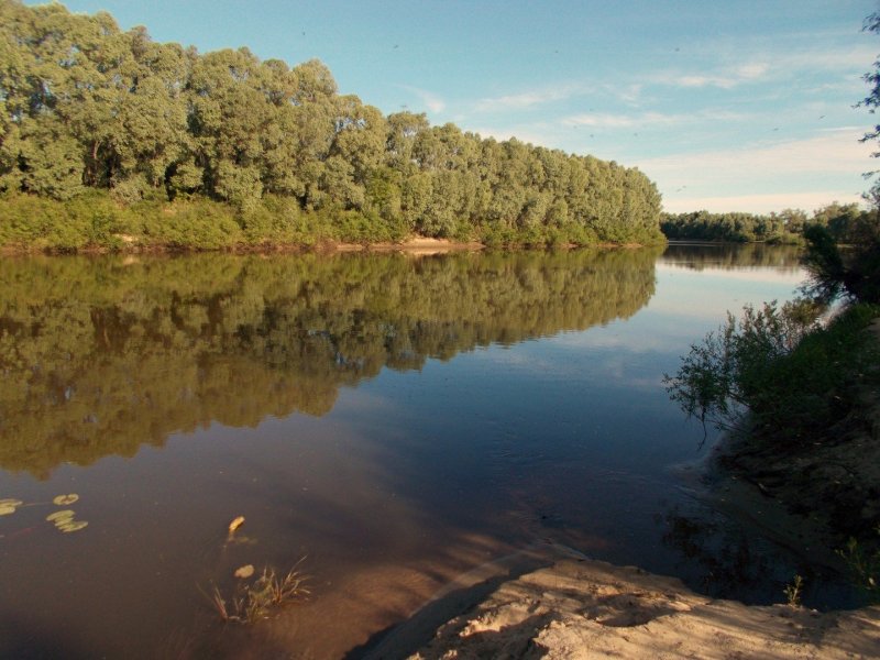Мокша река Пенза