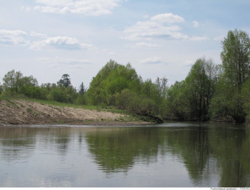 Река Мокша Пензенская область