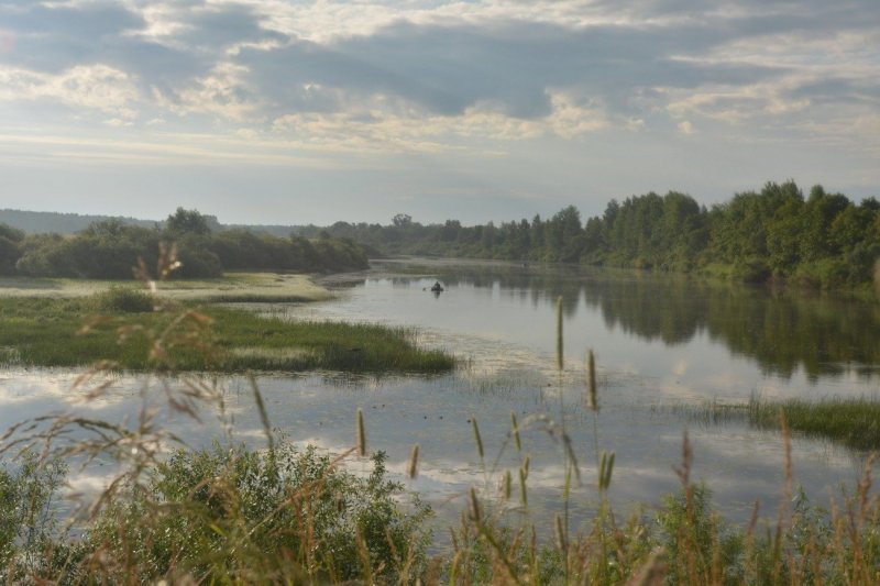 Шелубей озеро в Мордовии