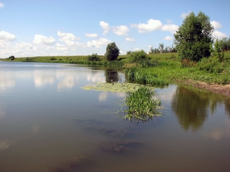 Река Старица Свердловская область