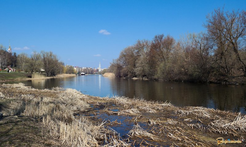 Река Цна Тамбовской области