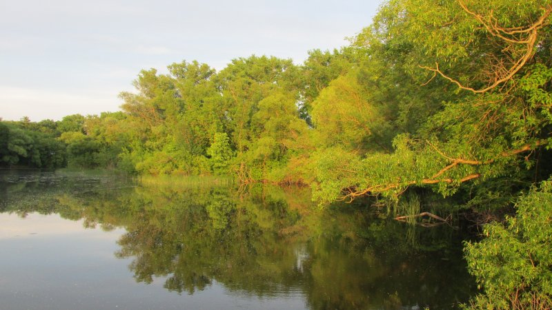 Цна река в Тамбовской