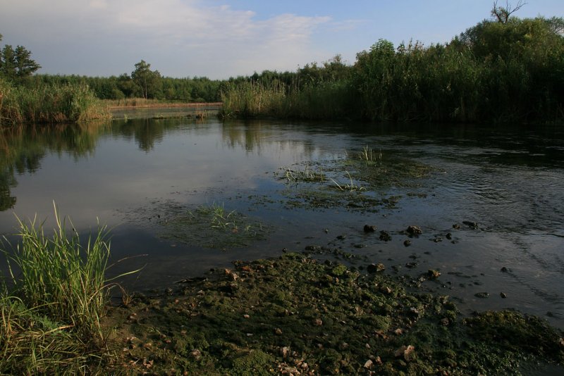 Река Битюг Добринский район