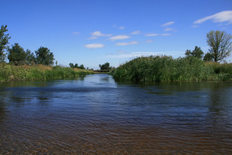 Река Битюг Воронежской