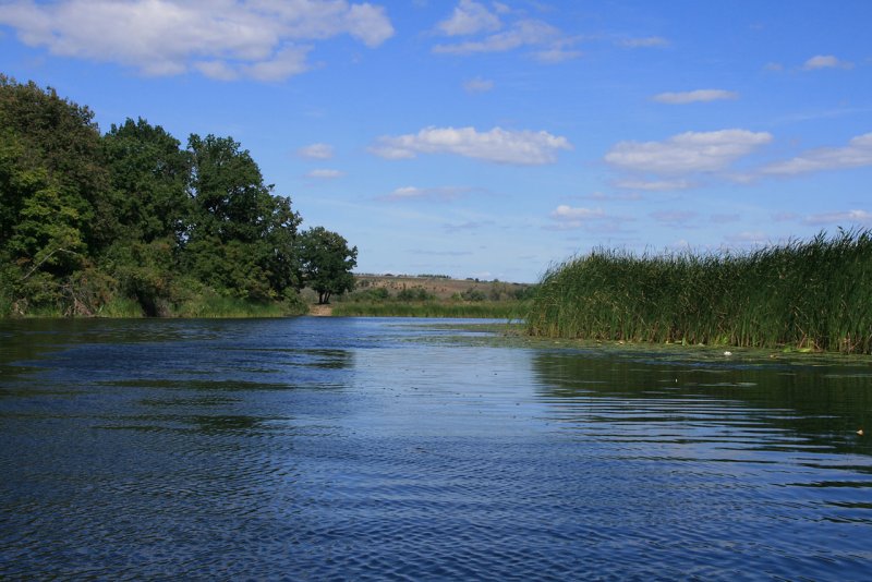 Река Битюг Воронежской области Бобров