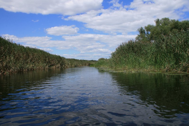 Река Битюг Воронежской области Бобров