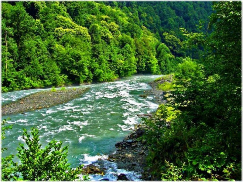 Сочинский национальный парк река Мзымта