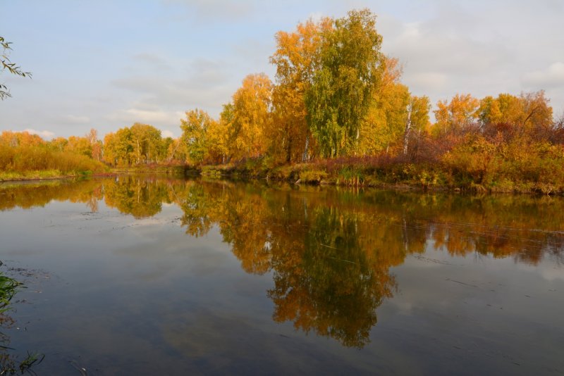 Осень на Урале у реки