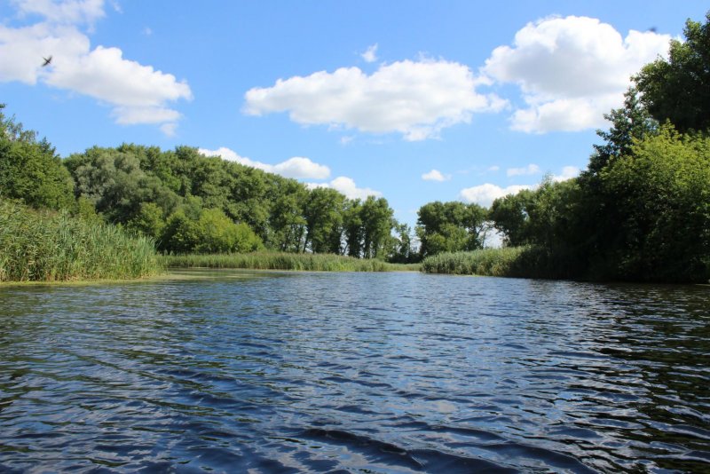 Река Ворсклица Белгородской области