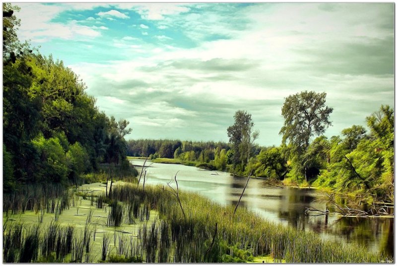 Река Ворскла Белгородской области