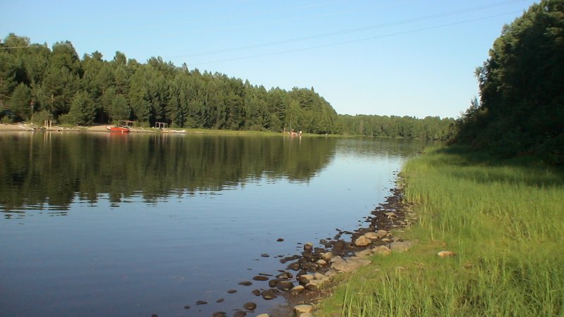 Река Ворскла рыбалка