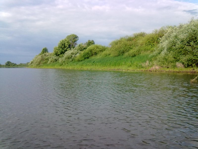 Речка Проня в Рязанской области