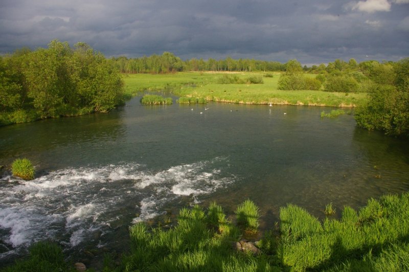 Река Ижора Гатчина