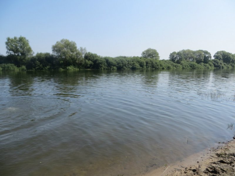 Река Мостья Рязанская область