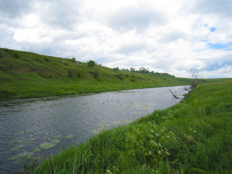 Речка Проня в Рязанской области