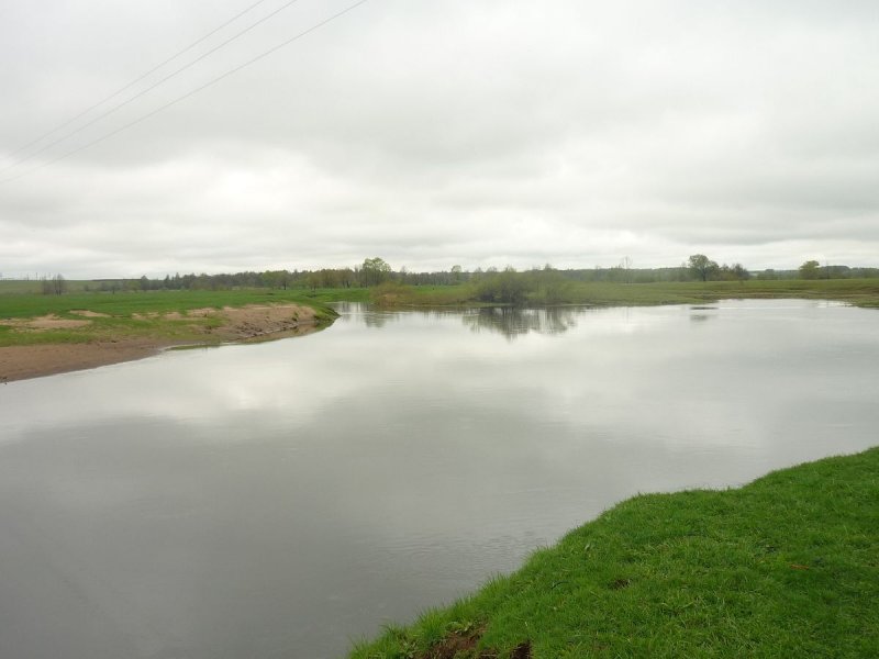Река Проня Рязанской области