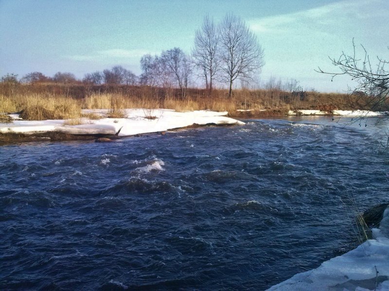 Река Ижора