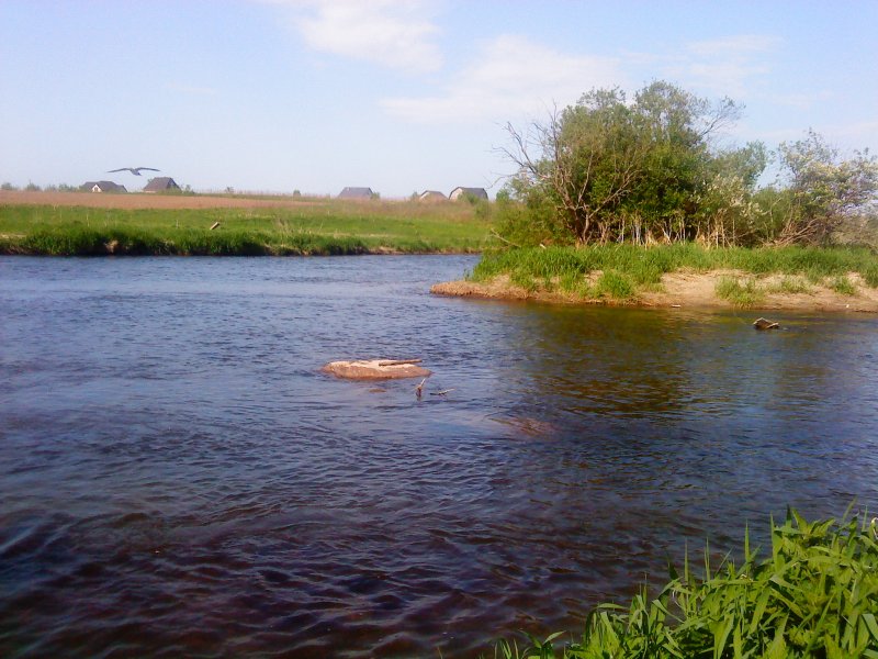 Река Ижора Малое Верево