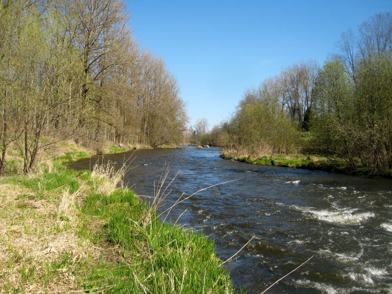 Река Ижора Гатчинский район