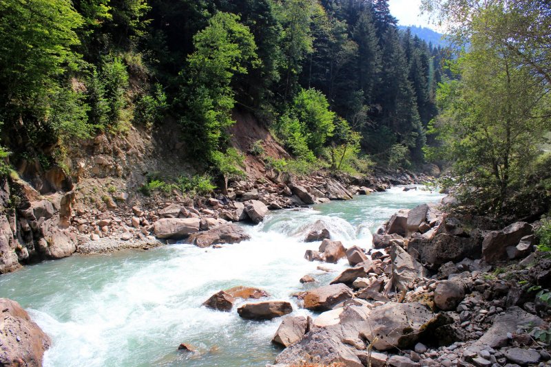 Река Лаба Кавказ