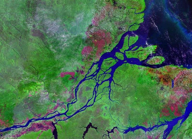 Река Амазонка впадает в Атлантический океан