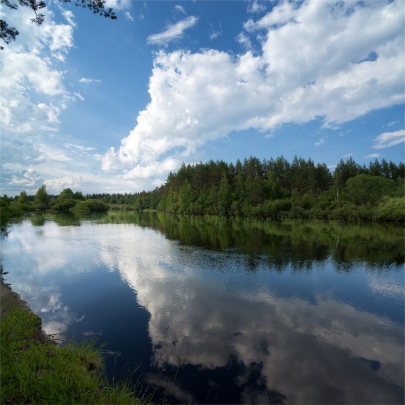 Озеро Шагара Рязанская область