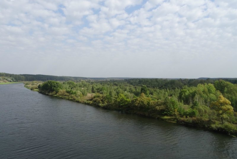 Ветка Беларусь река СОЖ