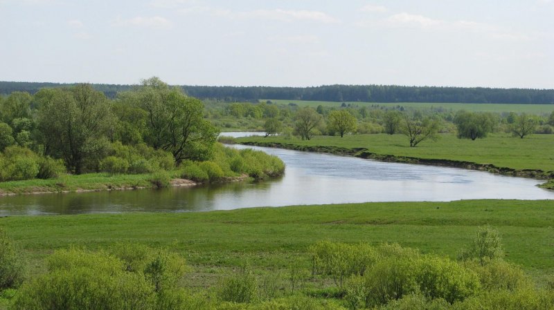 Фото реки СОЖ Александровка 2 Беларусь